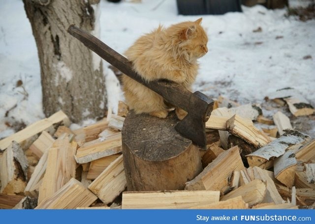 Lumbercat