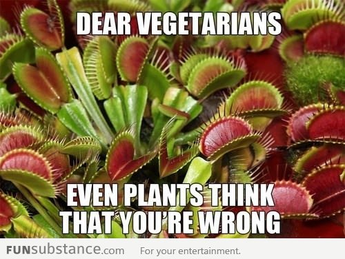 Dear vegetarians