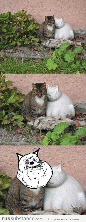 Forever alone cat