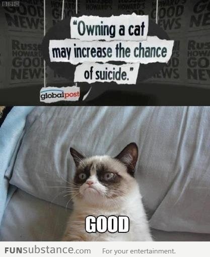 Depressing cat is depressing