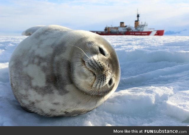 February in Antarctica