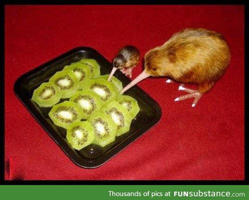 Cannibalism