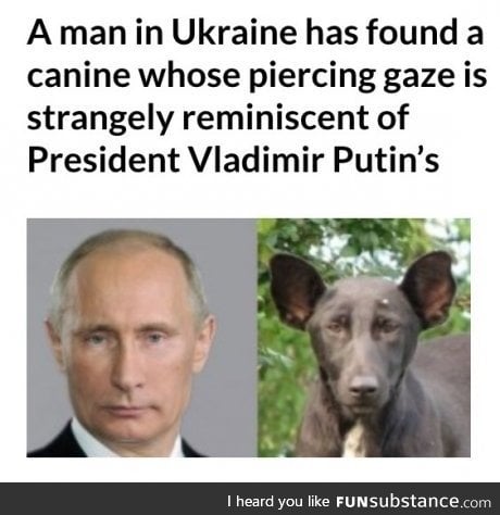 "vladimir poochin"