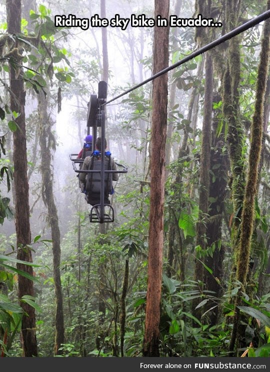 Rain forest biking