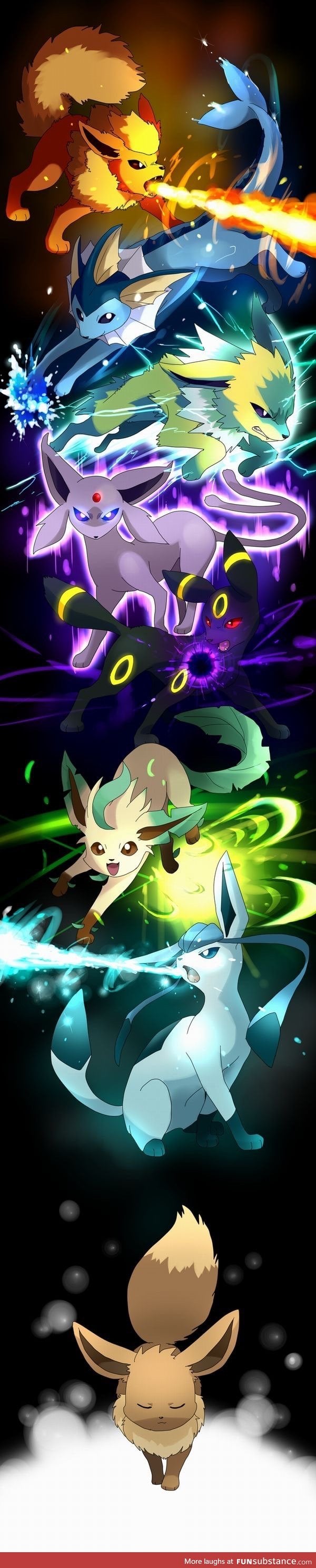 The majestic evolutions of Eevee