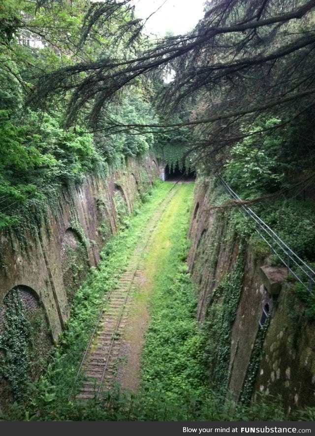 Beautiful old metro rail reclaimed by nature