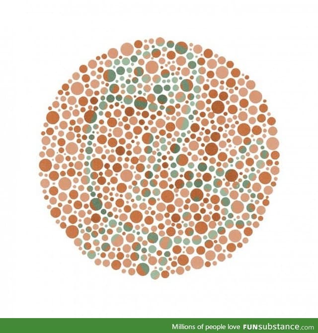 What do you see?