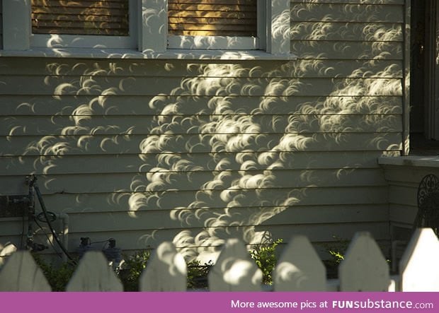 Shadows of leaves from a tree during a solar eclipse