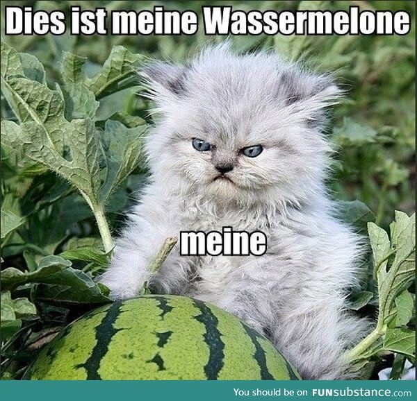 Meine watermelon