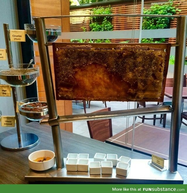 This hotel has fresh honey in their breakfast buffet