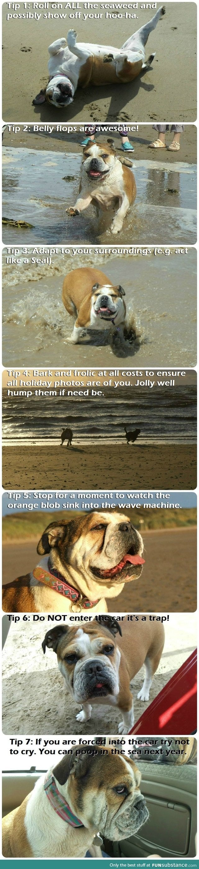 Bonnie's 7 tips for beach trips