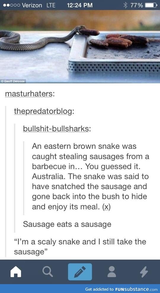 Sausage