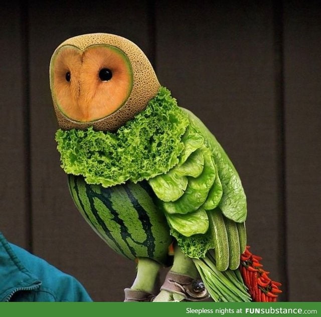 If owls were vegetarian.