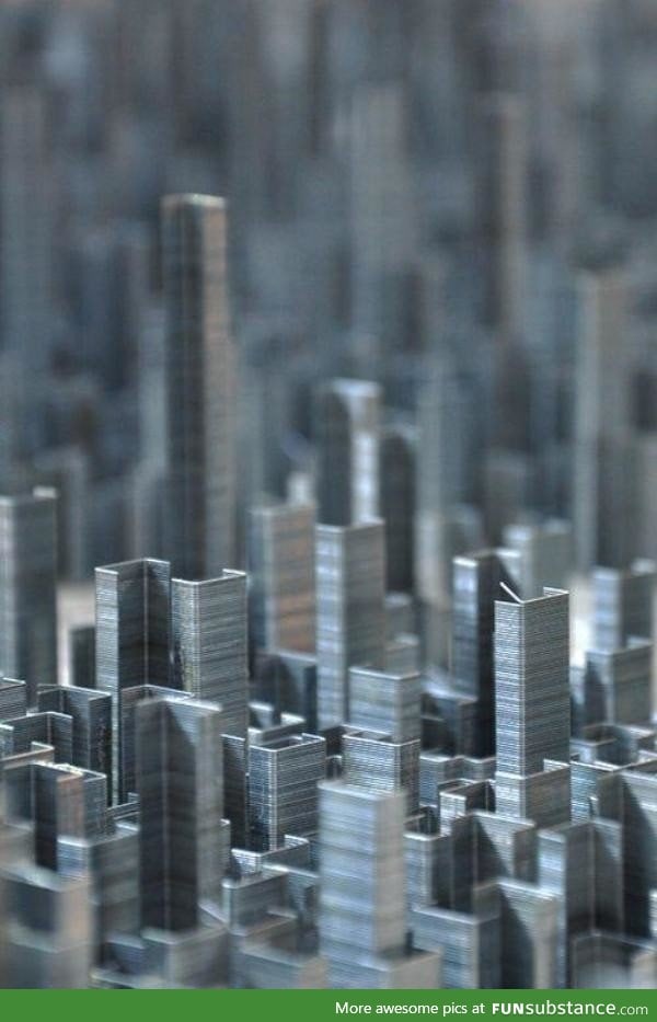 Staple metropolis