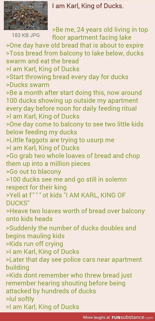 Never Trust A Duck