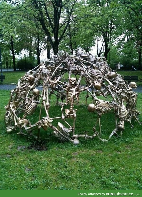 Skeletal jungle gym