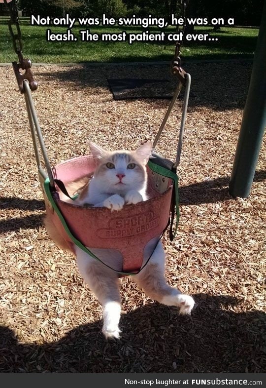 What a sweet face and look at those furry toes!