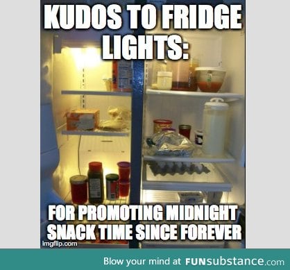 Fridge Lights