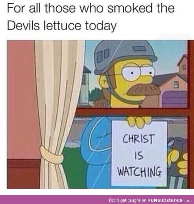 Devils lettuce