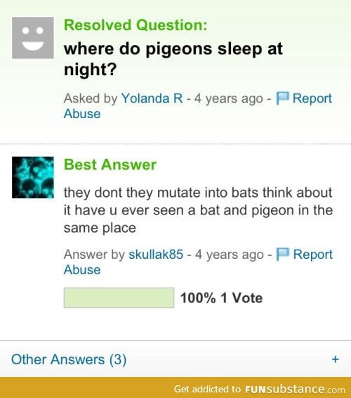 Pigeons