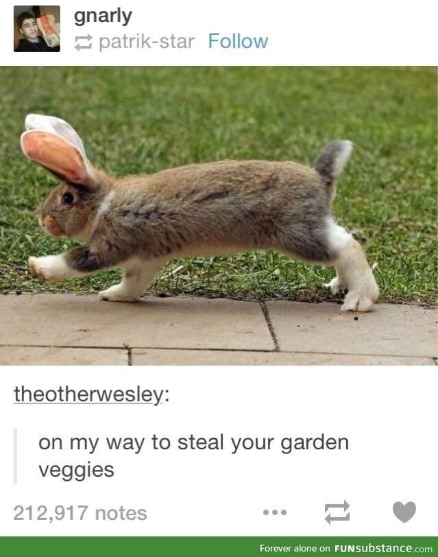 Veggies