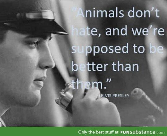 Elvis' wise words