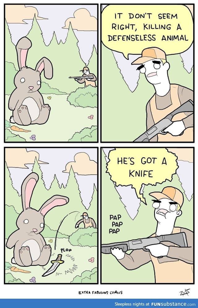 Run Little Bunny