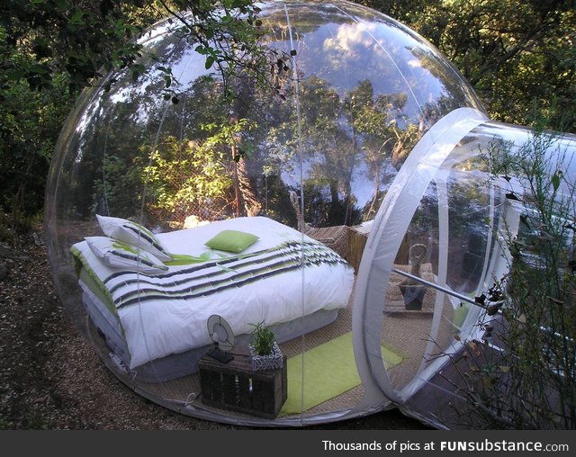 Would you sleep in this? Bubble Bed Surrounded by Nature