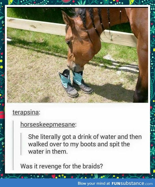 Misbehaved horse