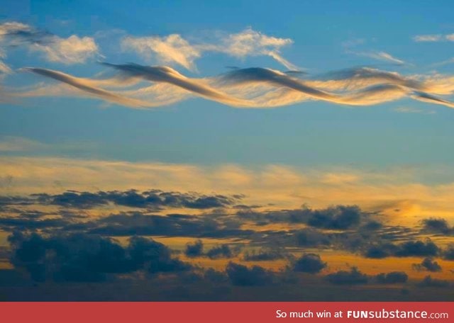 Cirrus cloud dna