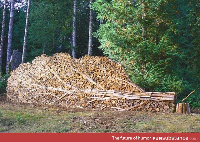 Stacked wood