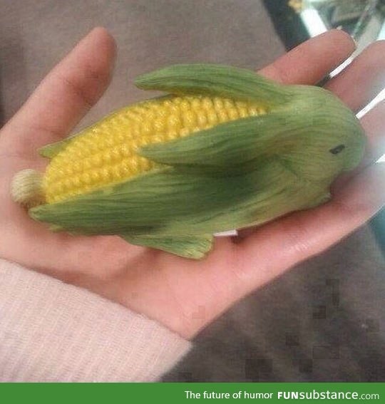 The rare corn bunny