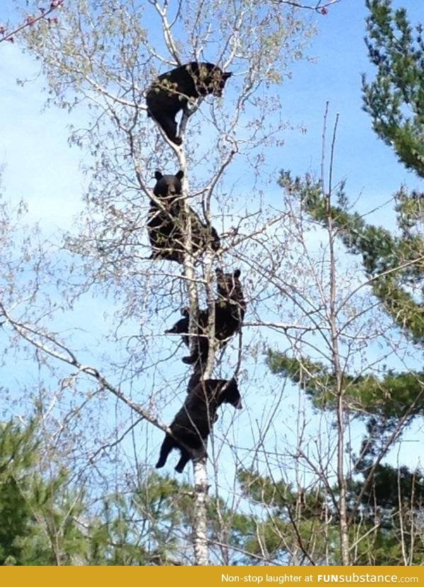 So this happened in northern Wisconsin yesterday