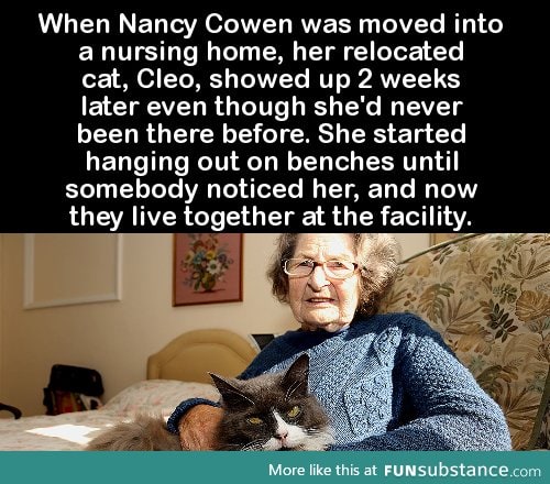 When Nancy Cowen was moved into a nursing home