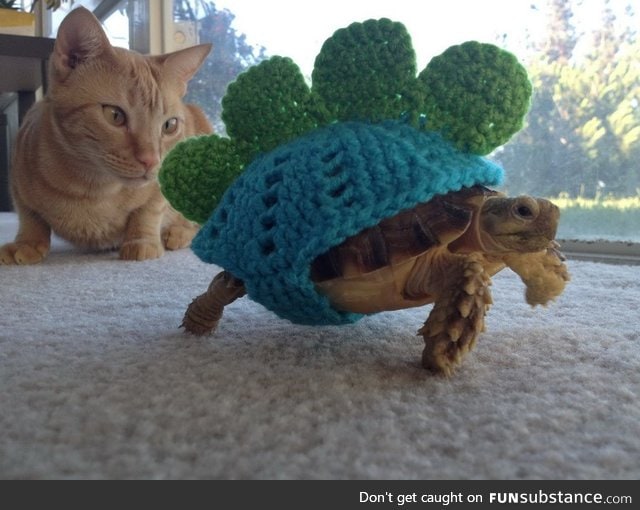 Day 179 of your daily dose of cute: Look at that mighty stegosaurus