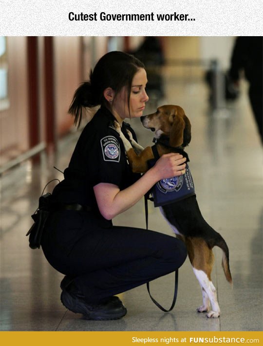 the puppy or the woman?