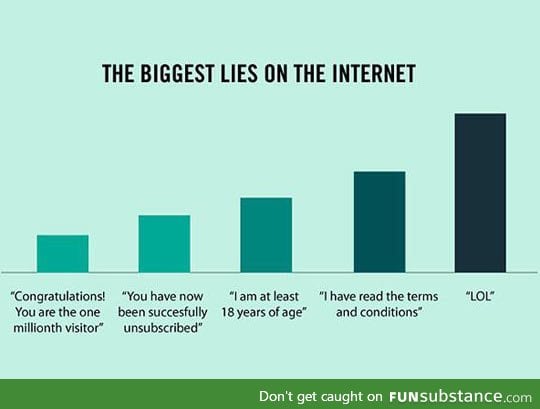 Internet lies