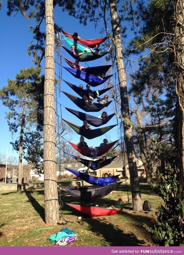 a tower of hammocks