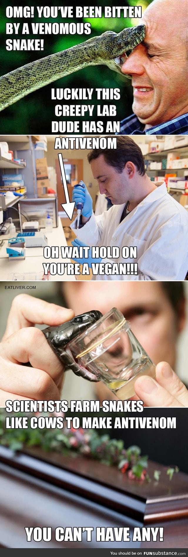 No treatment for vegans