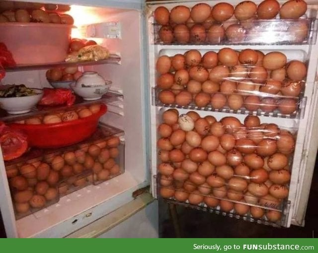 HowToBasic's fridge