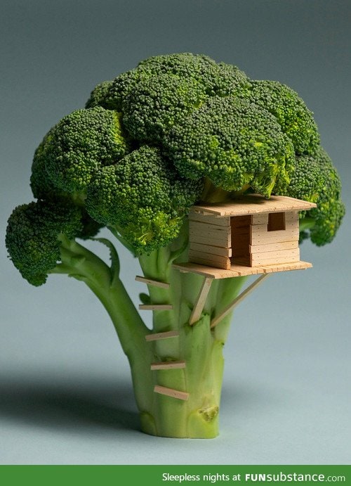 Broccoli house