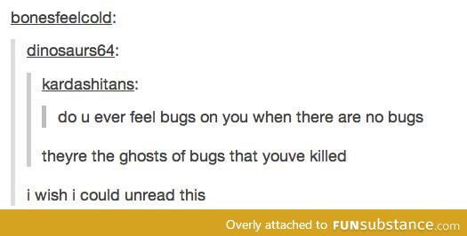 Ghosts of Bugs