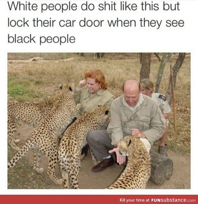 Well white people do love cats