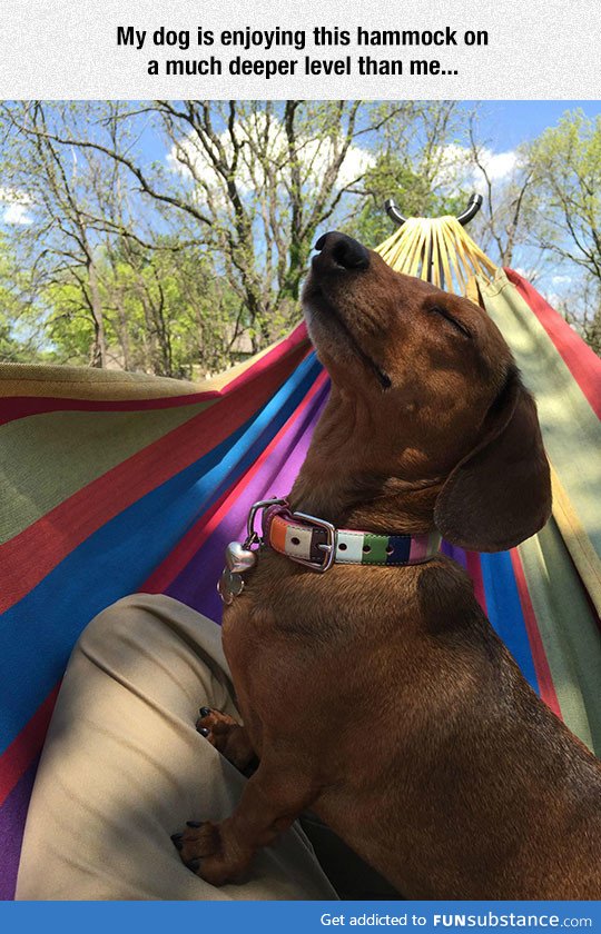 Enjoying the new hammock