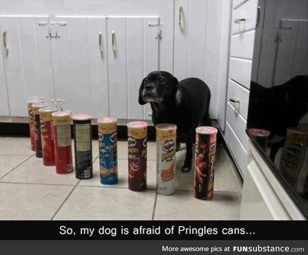 Pringles