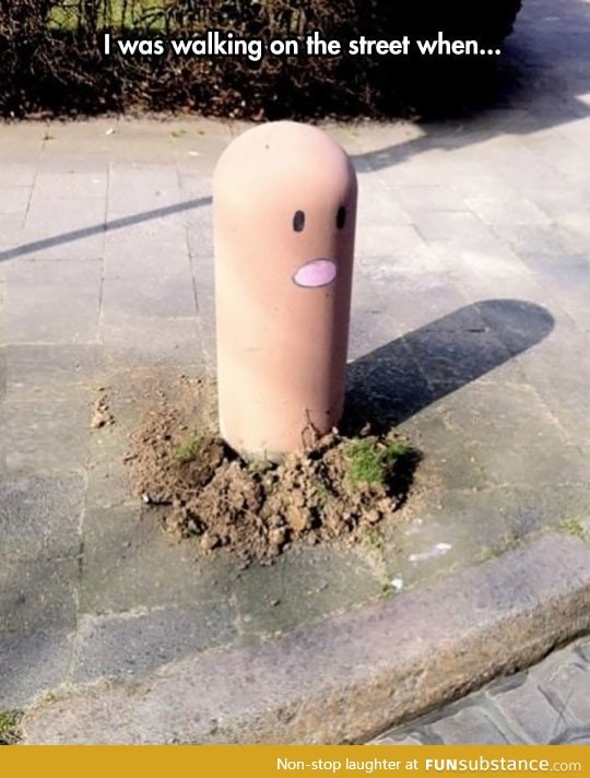 Diglett dig