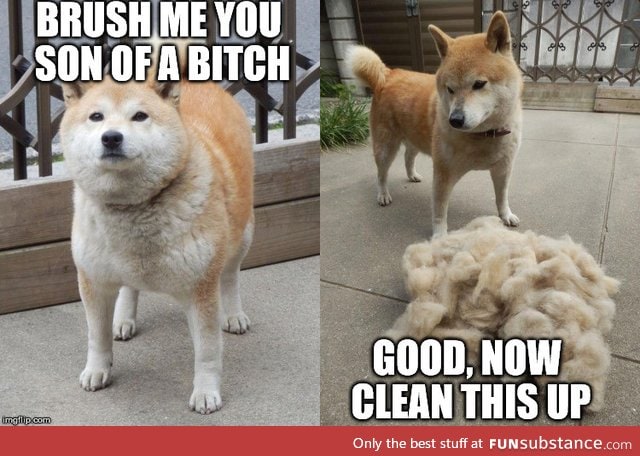 Much hair, less doge, wow