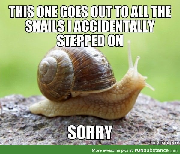 I'm sorry, snails