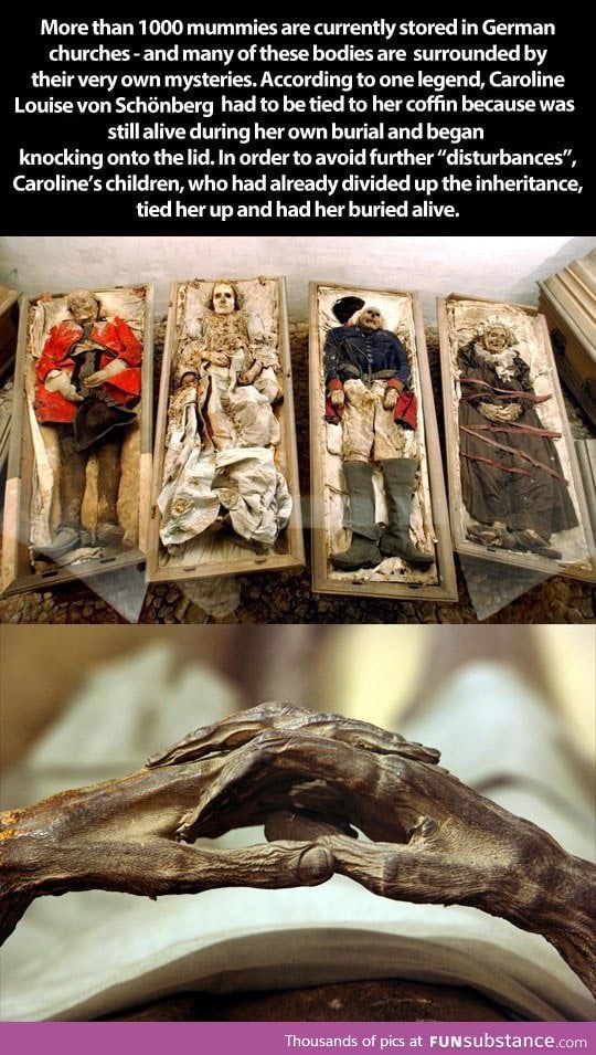 Caroline Louise von Schonberg - the mummy that was buried alive