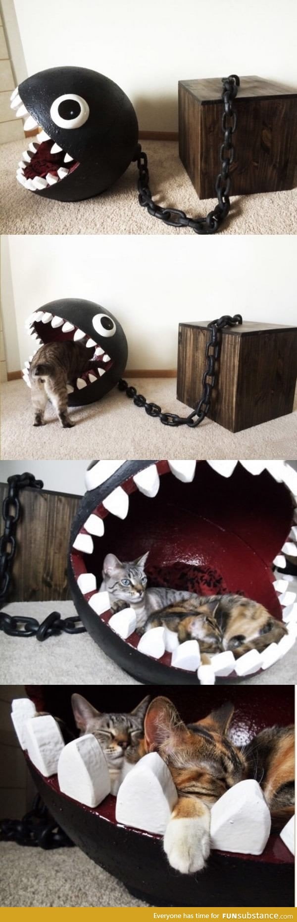 Chomp chomp kitty bed!